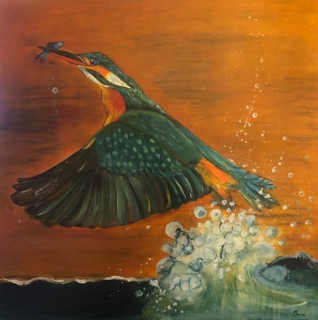 Kingfisher