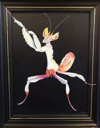 Praying Mantis