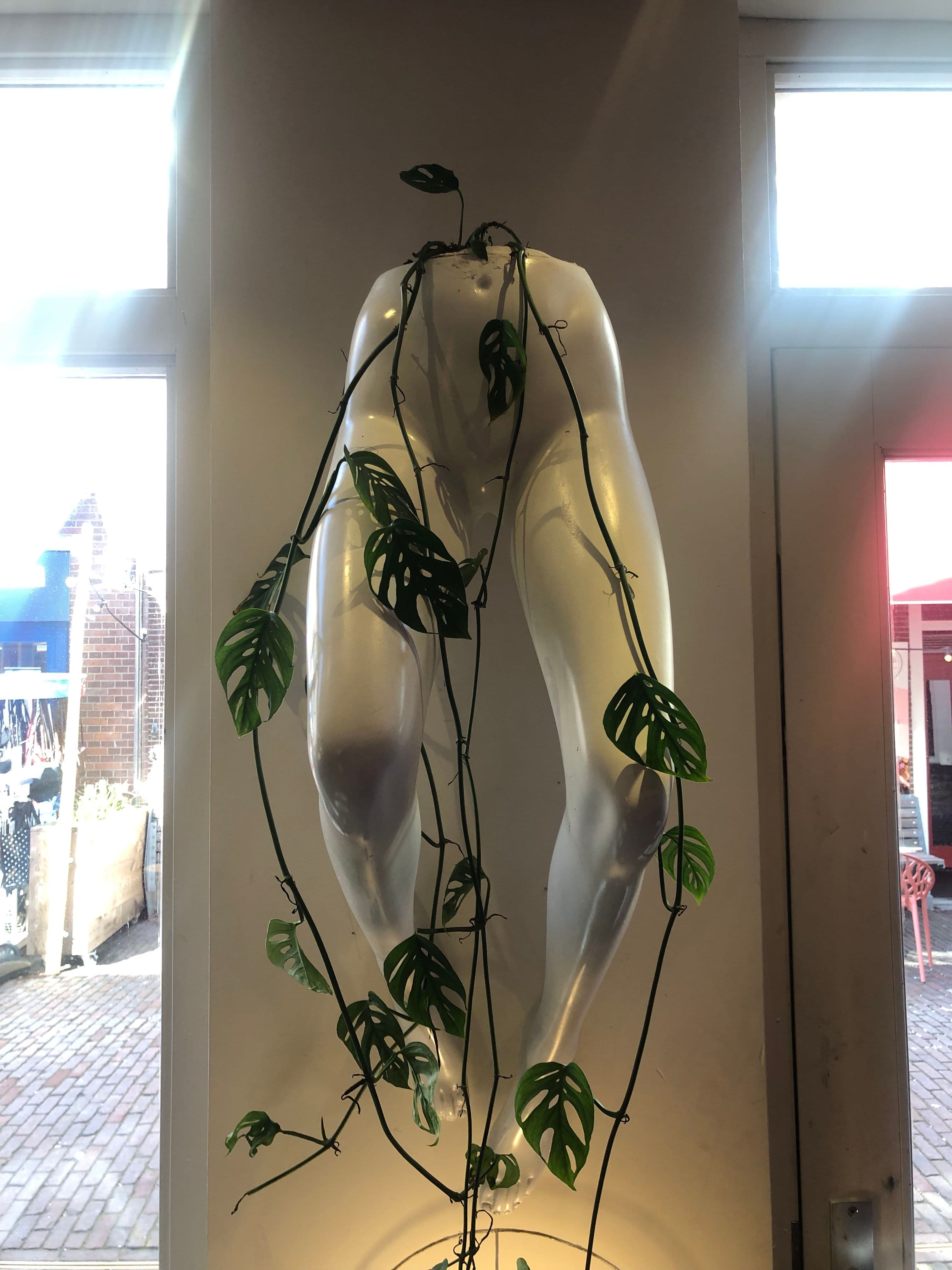 Green Legs